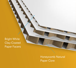 Biodegradable Boards